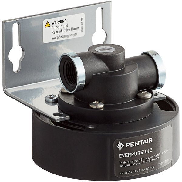 Everpure Ql2 head with 3/8" NPT female ports