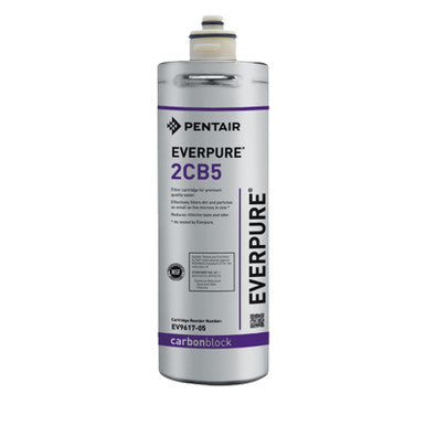 Everpure  2CB5 Water Filter Cartridge - EV961705